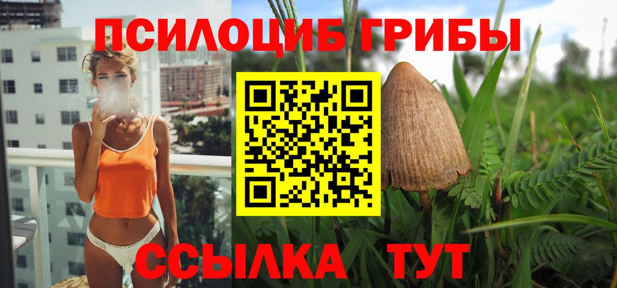 Псилоцибиновые грибы мухоморы Сыктывкар
