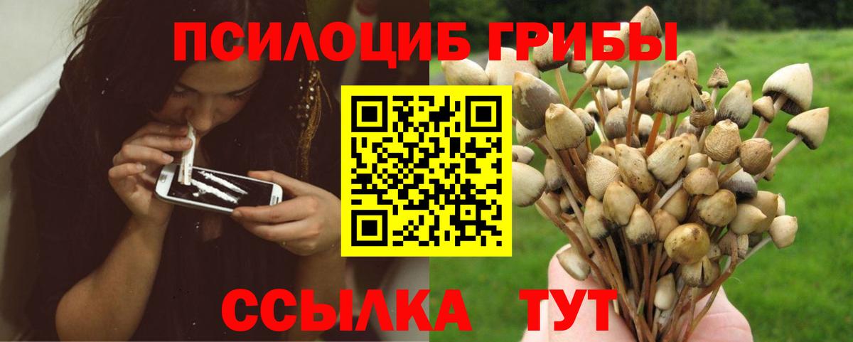 Галлюциногенные грибы мухоморы  Псилоцибиновые грибы Psilocybine cubensis  Вход с VPN  Сыктывкар 